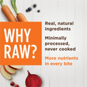 Instinct Raw Boost Shakers Freeze-Dried Powder Cat Food Topper - Chicken, 5.5 Oz. Bottle