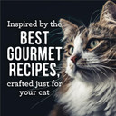 Merrick Purrfect Bistro Soirees Grain Free Natural Wet Canned Cat Food With Gravy, Chicken A La King Recipe - (Pack Of 24) 2.75 Oz. Cans