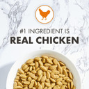 Nutro Wholesome Essentials Adult Hairball Control Natural Dry Cat Food Farm-Raised Chicken & Brown Rice Recipe, 14 Lb. Bag