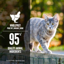 Orijen Adult Wet Cat Food, Grain Free Tuna, Salmon & Beef Entree In Bone Broth, Wholeprey Ingredients, 5.5Oz (Case Of 12) Orijen Adult Wet Cat Food, Grain Free Tuna, Salmon & Beef Entree In Bone Broth, Wholeprey Ingredients, 5.5Oz (Case Of 12)
