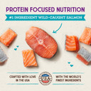 Stella & Chewy'S Raw Coated Premium Kibble Cat Food  Grain Free, Protein Rich Meals  Wild Caught Salmon Recipe  10 Lb. Bag