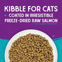 Stella & Chewy'S Raw Coated Premium Kibble Cat Food  Grain Free, Protein Rich Meals  Wild Caught Salmon Recipe  10 Lb. Bag