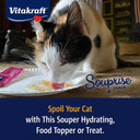 Vitakraft Souprise Snack Wet Cat Treat - Salmon - Lickable Treat Or Dry Cat Food Topper
