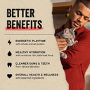 Vital Essentials Freeze Dried Raw Cat Food, Pork Mini Nibs Entree, 8 Oz