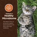 Wellness Core Digestive Health Wholesome Grains Probiotic Coated High Protein Dry Cat Food, Salmon & Rice Recipe, 11 Pound Bag