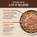 Wellness Core+ Hairball Grain-Free High Protein Adult Dry Cat Food, Chicken And Chicken Meal Recipe, 4.75 Pound Bag