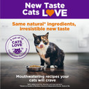 Wellness Complete Health Natural Dry Cat Food With Wholesome Grains, Made In Usa With Real Meat (Adult Cat, Chicken & Chicken Meal Recipe, 5-Pound Bag)