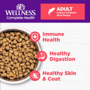 Wellness Complete Health Natural Dry Cat Food With Wholesome Grains, Made In Usa With Real Meat (Adult, Salmon & Salmon Meal Recipe, 5-Pound Bag)