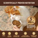 Wellness Core Grain-Free Kitten Formula Dry Cat Food, 5 Pound Bag