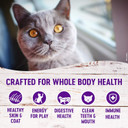 Wellness Natural Pet Food Complete Health Grain-Free Indoor Healthy Weight Chicken & Turkey Meal Recipe Dry Cat Food, 5.5 Pound Bag