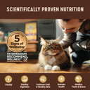 Wellness Core+ Digestive Health Grain-Free Natural Wet Cat Food, Sensitive Stomach, Easily Digestible (Salmon Pate, 3 Ounce Can, 12 Pack)