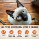 Wellness Core Grain-Free Signature Selects Wet Cat Food, Natural Pet Food Made With Real Meat (Chunky Chicken & Salmon, 5.3-Ounce, Pack Of 12)