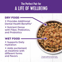 Wellness Complete Health Grain-Free Wet Canned Cat Food, Chicken & Turkey Lovers Minced And Gravies Variety Pack, 3 Ounces (Pack Of 24)