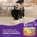 Wellness Complete Health Natural Grain Free Wet Canned Cat Food, Cubed Tuna Entrã£Â©E In Rich Gravy, 5.5-Ounce Can (Pack Of 24)