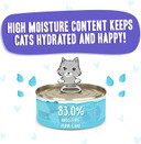 Weruva B.F.F. Play - Best Feline Friend Patã£Â© Lovers, Aw Yeah!, Beef & Tuna Tic Toc With Beef & Tuna, 5.5Oz Can (Pack Of 8)
