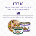 Weruva Truluxe Cat Food, On The Cat Wok With Chicken Breast & Beef In Pumpkin Soup, 3Oz Can (Pack Of 24)