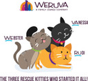 Weruva B.F.F. Play - Best Feline Friend Patã£Â© Lovers, Aw Yeah!, Beef & Tuna Ta Da! With Beef & Tuna, 3Oz Pouch (Pack Of 12)