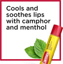 Carmex Classic Medicated Lip Balm Sticks, Lip Moisturizer For Chapped Lips, 9 Count (3 Packs Of 3)