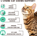Lysine Cat Treats - Cat Immune Support - Help Improve Respiratory Health And Eye Function - Enriched With Vitamin B, Calcium, Protein