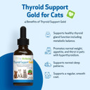 Pet Wellbeing Thyroid Support Gold For Cats - Vet-Formulated - Supports Overactive Thyroid In Felines - Natural Herbal Supplement 2 Fl Oz (59 Ml)