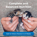 Pet-Ag Kmr Kitten Milk Replacer Powder - 6 Oz - Powdered Kitten Formula With Prebiotics, Probiotics & Vitamins For Kittens Newborn To Six Weeks Old - Easy To Digest Pet-Ag Kmr Kitten Milk Replacer Powder - 6 Oz - Powdered Kitten Formula With Prebiotics, Probiotics & Vitamins For Kittens Newborn To Six Weeks Old - Easy To Digest