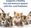 Pet-Ag Kmr Kitten Milk Replacer Powder - 6 Oz - Powdered Kitten Formula With Prebiotics, Probiotics & Vitamins For Kittens Newborn To Six Weeks Old - Easy To Digest Pet-Ag Kmr Kitten Milk Replacer Powder - 6 Oz - Powdered Kitten Formula With Prebiotics, Probiotics & Vitamins For Kittens Newborn To Six Weeks Old - Easy To Digest