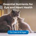 Pet-Ag Taurine Tablets For Cats - 100 Tablets - Daily-Use, Chewable Supplement For Cats Of All Ages