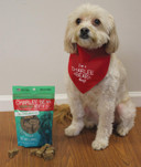 Charlee Bear Meaty Bites Dog Treats, Beef Liver & Apples, 2.5Oz