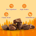 Jungle Calling Freeze Dried Cat Treats & Dog Snacks, Freeze Dried Raw Single Ingredient Chicken Hearts For Dogs & Cats, High Protein Pet Training Treats (Chicken Hearts, 2.3 Oz)