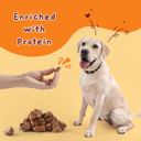 Jungle Calling Freeze Dried Cat Treats & Dog Snacks, Freeze Dried Raw Single Ingredient Chicken Hearts For Dogs & Cats, High Protein Pet Training Treats (Chicken Hearts, 2.3 Oz)