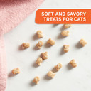 Rachael Ray Nutrish Soft Spots Cat Treats, Salmon, 2.5 Ounce (Pack Of 12)