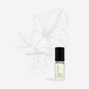 Maison Louis Marie - Antidris Cassis Natural Roll-On Perfume Oil Sample | Luxury Clean Beauty + Non-Toxic Fragrance (0.1 Fl Oz | 3 Ml)