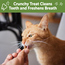 Whimzees Wellness Natural Cat Dental Treats, Chicken Flavor, 4.5 Ounce