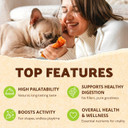 Afreschi Turkey Tendon Dog Treats For Signature Series, All Natural Human Grade Puppy Chew, Ingredient Sourced From Usa, Hypoallergenic, Easy To Digest, Rawhide Alternative, 20 Units/Box Bone (Medium)