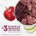 Singles Freeze Dried Dog Treats, Limited Ingredient Grain Free Lamb & Apple Recipe, 1.25Oz