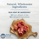 Blue Buffalo True Chews Premium Grillers Natural Dog Treats, Steak 20 Oz Bag