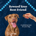 Blue Buffalo Wilderness Trail Treats Crunchy Dog Biscuits Grain-Free And High-Protein Dog Treats, Turkey Recipe 36-Oz. Box