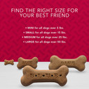 Blue Buffalo Bones Natural Crunchy Dog Treats, Medium Dog Biscuits, Beef (16-Oz Bag, 4 Count)