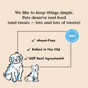 Bocce'S Bakery All-Natural, Small Batch, Organic Dog Treats, Pumpk'N Harvest Biscuits, Wheat-Free, Limited-Ingredient, Made In The Usa With 100% Recyclable Packaging, 12 Oz Bag (Dg-Bc-Pkh)