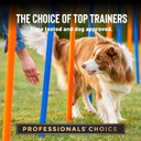 Cloud Star Tricky Trainers Soft & Chewy Dog Training Treats 14 Oz Pouch, Liver Flavor, Low Calorie Behavior Aid With 360 Treats