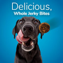 Fruitables Small Dog Treats  Whole Jerky Bites  Healthy Treats  Turkey & Sweet Potato Flavor  5 Ounces