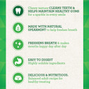 Greenies Regular Natural Dental Care Dog Treats Fresh Flavor, 12 Oz. Pack (12 Treats) Greenies Regular Natural Dental Care Dog Treats Fresh Flavor, 12 Oz. Pack (12 Treats)