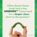 Greenies Teenie Natural Dog Dental Care Chews Oral Health Dog Treats 3-Flavor Variety Pack, (3) 12 Oz. Pouches, 129 Total Treats