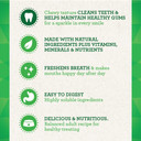 Greenies Original Petite Natural Dental Care Dog Treats, 3 Oz. Pack (5 Treats)