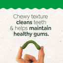 Greenies Puppy Teenie Size Natural Dental Dog Treats, 6 Oz. Pack (22 Treats)