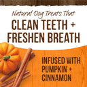 Merrick Fresh Kisses Natural Dental Chews, Treats Infused With Pumpkin And Cinnamon For Large Dogs Over 50 Lbs - 2.2 Lb. Box