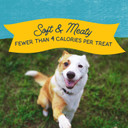 Natural Balance Limited Ingredient Mini-Rewards Turkey Grain-Free Dog Training Treats For Dogs | 5.3-Oz. Canister