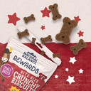 Natural Balance Limited Ingredient Rewards Crunchy Biscuits, Bite-Size Grain-Free Dog Treats For Small-Breed Adult Dogs, Made With Real Bison, 8 Ounce (Pack Of 1)