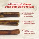 Natural Farm Chicken Stuffed Collagen Sticks With Real Chicken For Dogs (6 Inch, 5-Pack), Rawhide-Free Collagen Sticks, Odor-Free Natural Dog Chews, Long Lasting, For Small, Medium And Large Dogs
