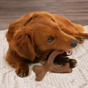 Nylabone Gourmet Style Strong Dog Chew Toy Bundle Bacon & Peanut Butter Small/Regular (2 Count)